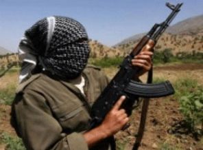 PKK Siirt'te yol kesip araçları yaktı