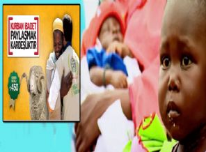 İHH kurban bedelini belirledi