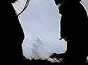 Şırnak'ta 4 PKK'lı teslim oldu