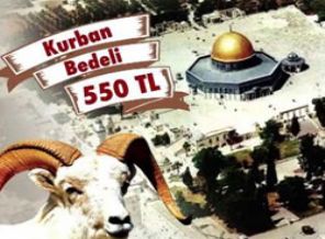 Aksa'ya can kurban