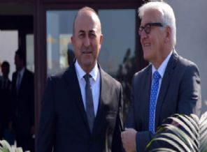 Çavuşoğlu ile Steinmeier'den ortak açıklama