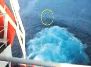 Deniz ortasında kaderlerine terk edildiler