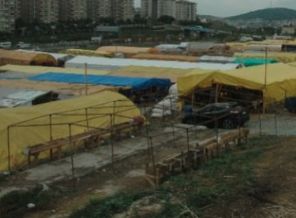 Kurbanlıklar İstanbul'a geldi