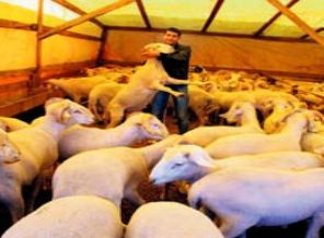 Paralel yapı ile ilgili en ilginç haber!