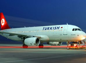 Uçağın motorunu çalmaya kalktılar