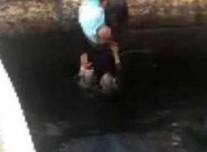 İskelede can pazarı