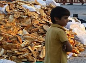 Kobani hayalet kente döndü