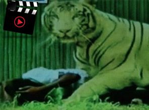 Birkaç saniye içinde adamı parçaladı