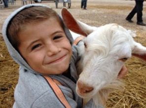 Kurban Bayramı tatili belli oldu