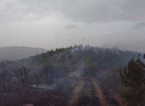 Manisa'da orman yangını