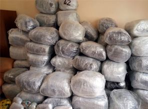 İki dev operasyonda 31 ton esrar ele geçirildi