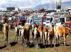Kurban alacaklar dikkat! Farkları çok büyük