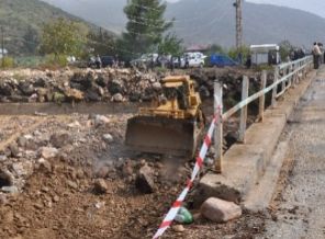 Sel 52 hayvanı telef etti