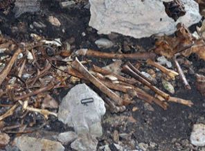 Hastane inşaatında 22 mezar bulundu