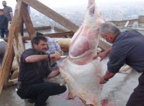 Kurban eti 3 ayda tüketilmeli