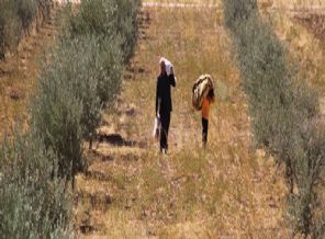 Mayınlara rağmen geçiyorlar