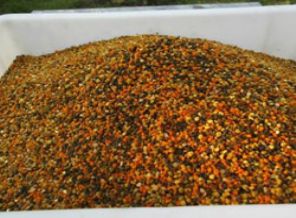 Suudi kralı bile sipariş verdi