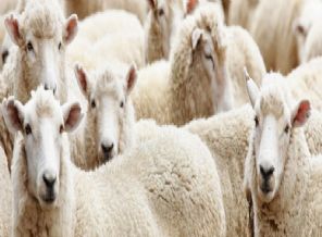 ''Bayram Kredisi'' caiz midir?