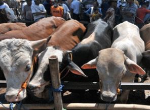 Bayramda bu hastalığa dikkat