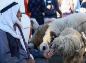 Kudüslülere 'Kurban işkencesi'