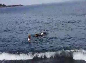 Kurbanlık boğa denize kaçtı