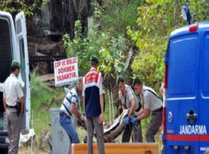 Mesire alanında erkek cesedi bulundu