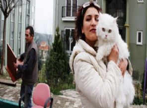 Yargıtay, kedinin tahliye kararını bozdu