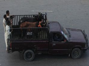 Pakistan’da Kurban Bayramı bugün başladı