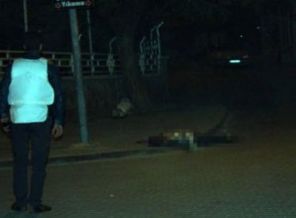 2 polisi öldüren 4 PKK'lı öldürüldü iddiası