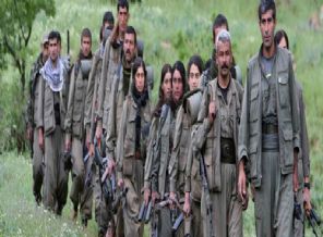 Hükümet'ten 6 aşamada 'silahlara veda' projesi