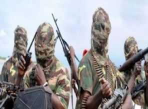 Kamerun: Boko Haram'la mücadelemiz sürecek