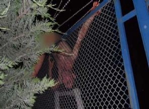 Bonzainin etkisiyle askeriye girmek isteyince...