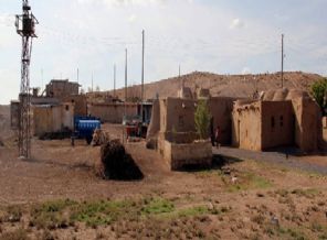 Ortalığı ceset kokusu kapladı