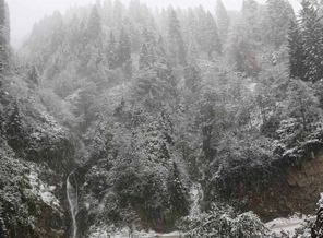 Karadeniz'de kar yağdı