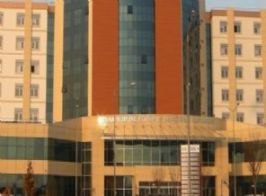 Adana'da Mers paniği