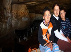 Mağaralara mahkum olan Suriyeliler!