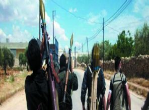 ÖSO'dan Kobani'ye dev destek kararı