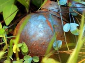 Ukrayna'da misket bombası krizi