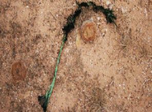 Balıkesir'de büyük bir faciadan son anda dönüldü