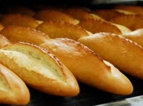 Maya firmalarına 14 miyon lira ceza