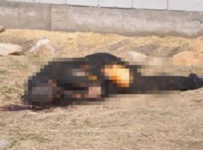 Yüksekova'da bir kadın cesedi bulundu