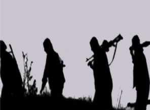 Kaçırılan köylüler serbest bırakıldı