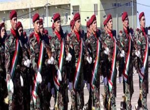 'İlk grup peşmerge Kobani'ye girdi'