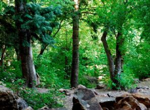 50 çocuk dağda kayboldu