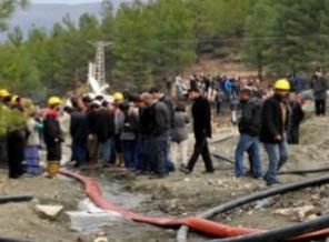 Ermenek'te ahtapot devreye girdi