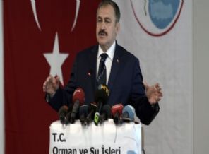 Bakan Eroğlu: İstanbul için no problem