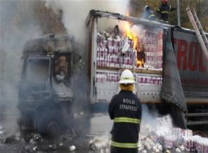 TEM'de yol kapatan yangın!