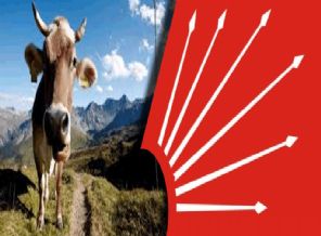 CHP'nin iktidar formülü, 'Özgür inek, akıllı seçmen'