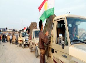 Kürtlerden Türkiye'ye Kobani teşekkürü