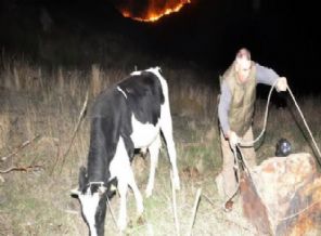 Muğla'da makilik alanda yangın